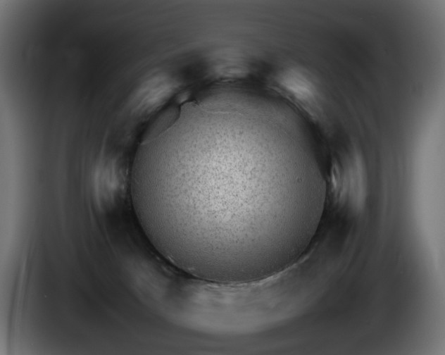 X0000085840033200703231452