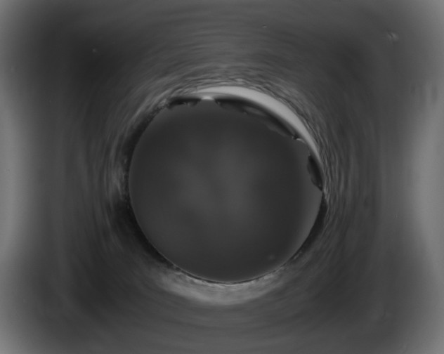 X0000085840035200703231452
