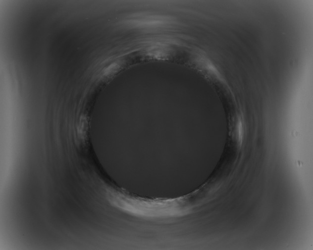 X0000085840036200703231452