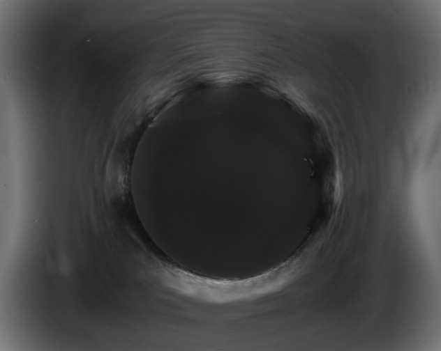 X0000085840039200703231452