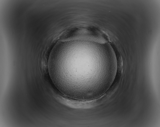 X0000085840040200703231452