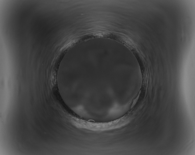X0000085840043200703231452