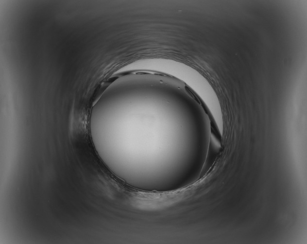 X0000085840045200703231452