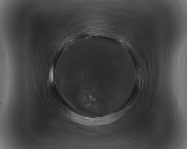 X0000085840046200703231452