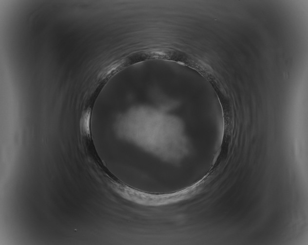 X0000085840047200703231452