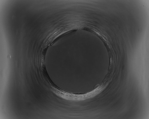 X0000085840048200703231452