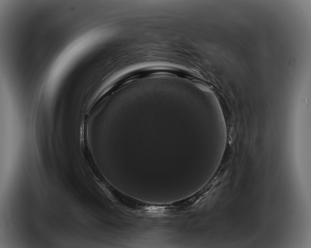 X0000085840052200703231451