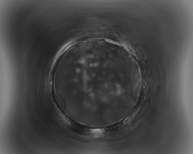 X0000085840053200703231451