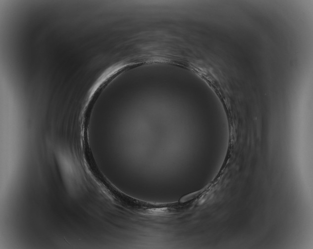 X0000085840054200703231451