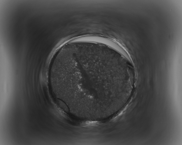 X0000085840055200703231451