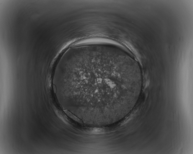 X0000085840060200703231451