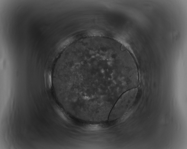 X0000085840061200703231451