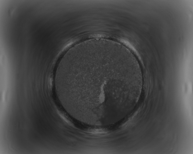 X0000085840063200703231451