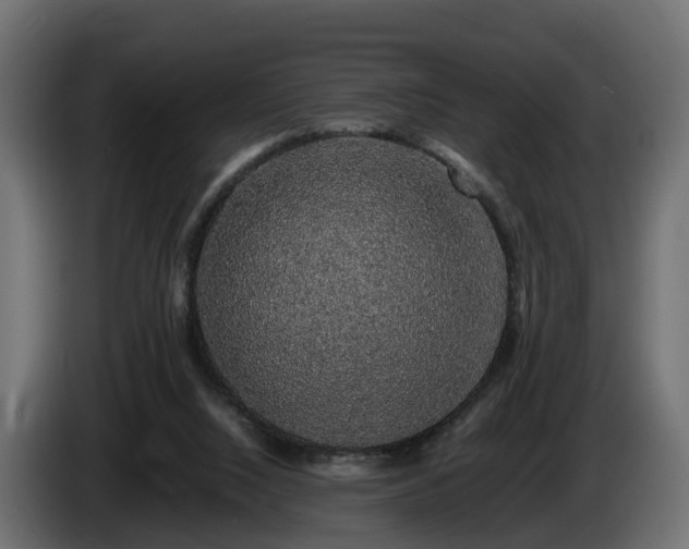 X0000085840064200703231451