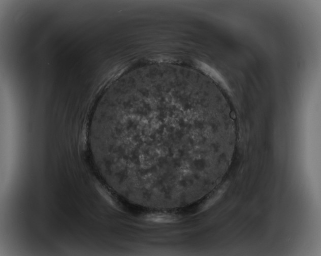 X0000085840065200703231451