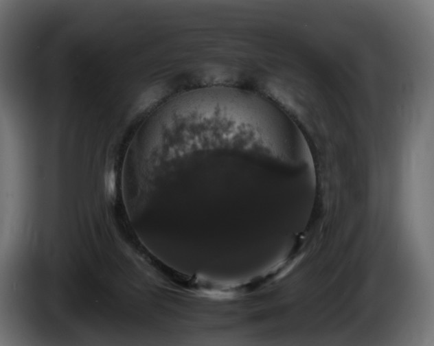 X0000085840067200703231451