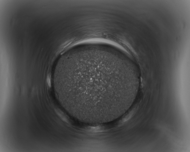 X0000085840068200703231452