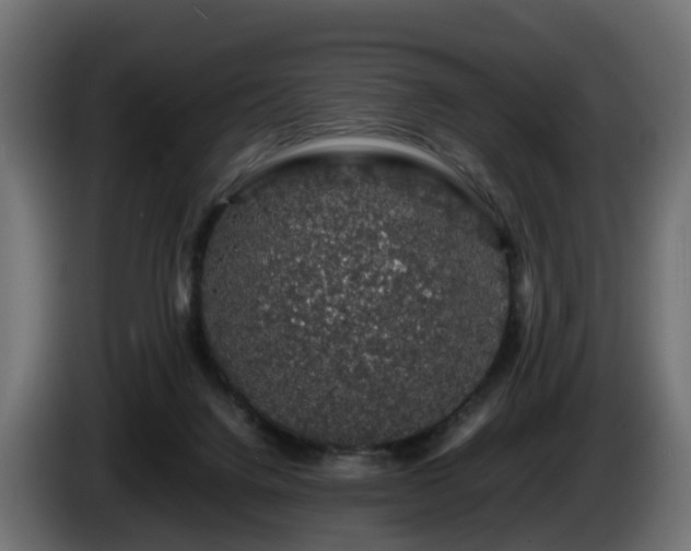 X0000085840072200703231452