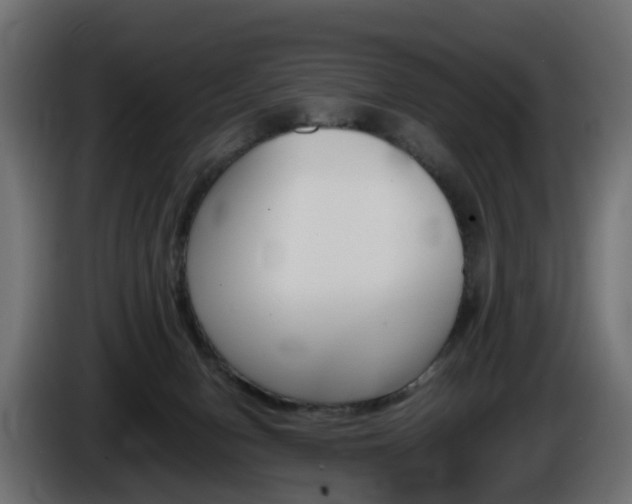 X0000085840078200703231452