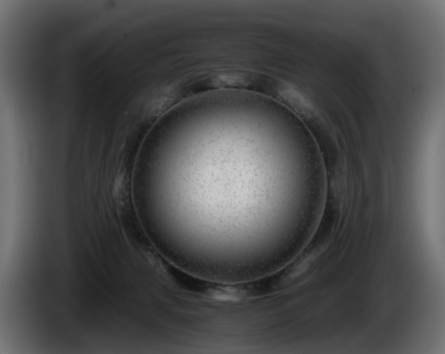 X0000085840079200703231452