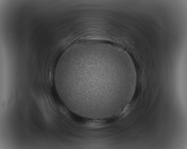 X0000085840082200703231452