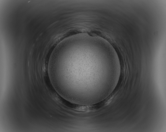 X0000085840084200703231452