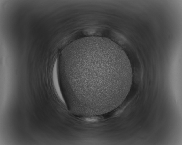 X0000085840085200703231452