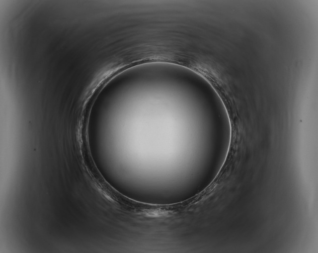 X0000085840098200703231451