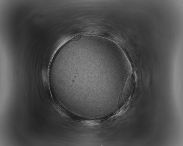 X0000085840100200703231451