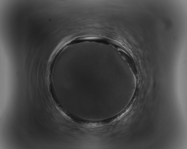 X0000085840101200703231451