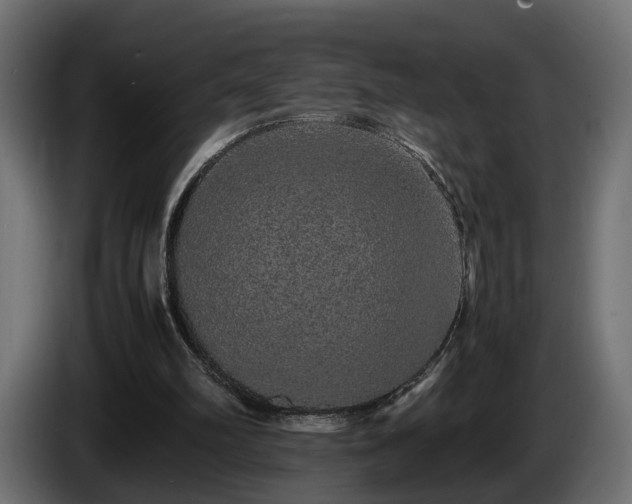 X0000085840102200703231451