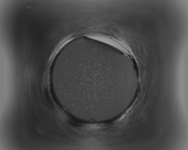 X0000085840103200703231451