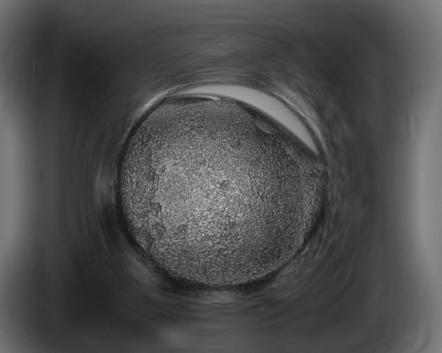 X0000085840107200703231451
