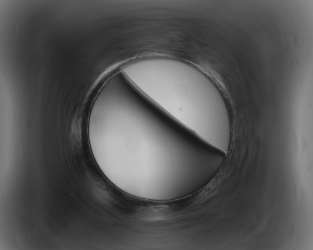 X0000085840108200703231451