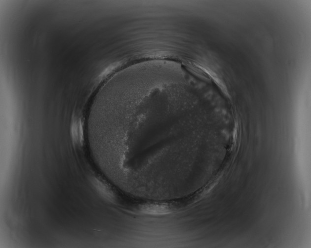 X0000085840110200703231451