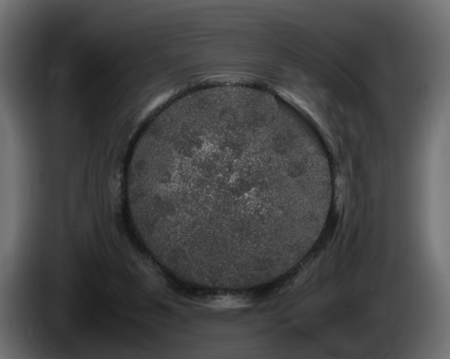 X0000085840111200703231451