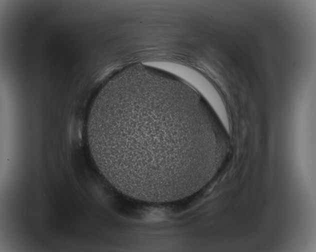 X0000085840115200703231451