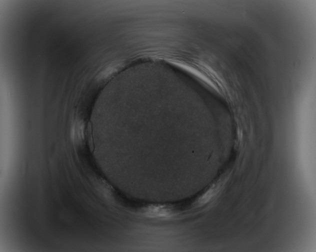 X0000085840117200703231451
