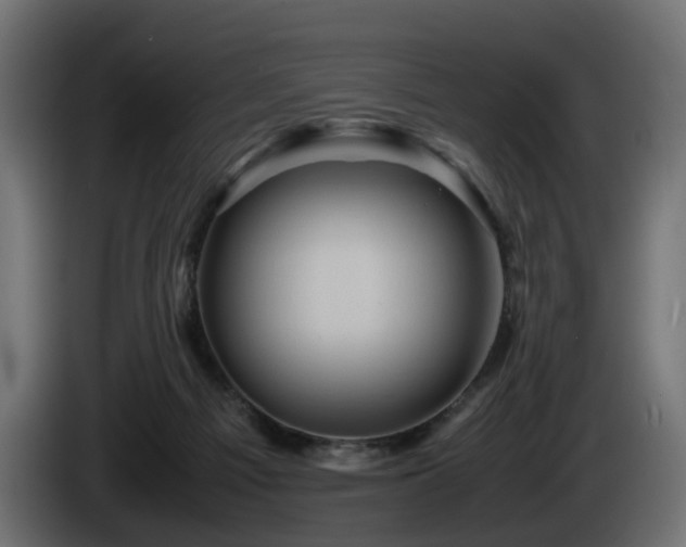 X0000085840121200703231451