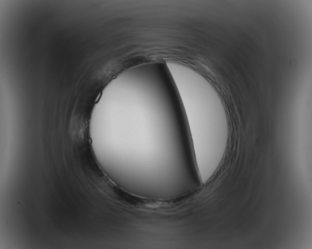 X0000085840125200703231451