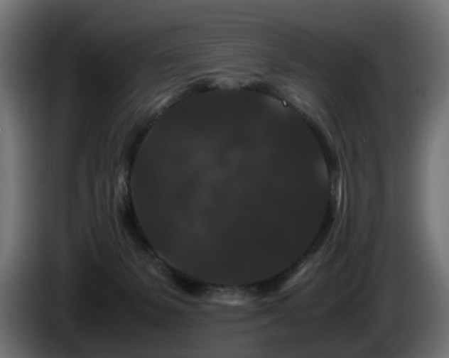X0000085840127200703231451