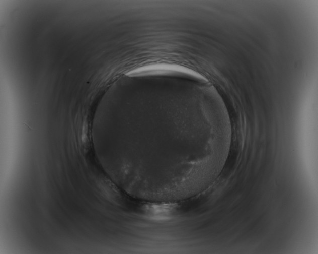 X0000085840134200703231451