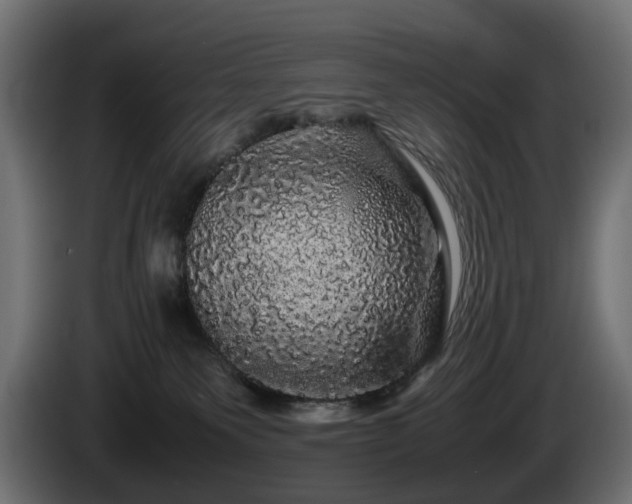 X0000085840135200703231451