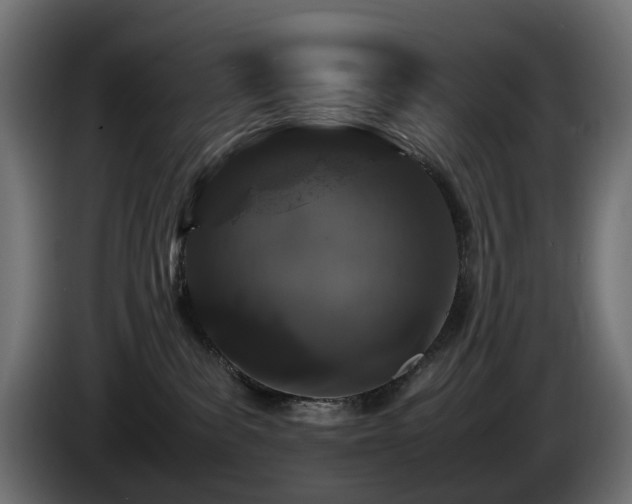X0000085840139200703231451