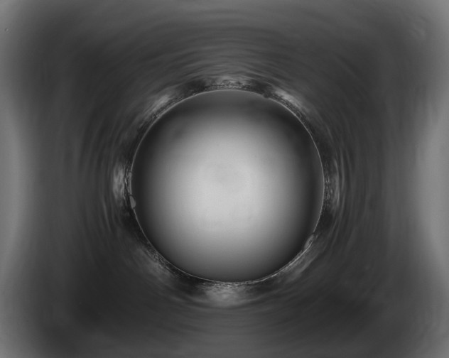 X0000085840142200703231451