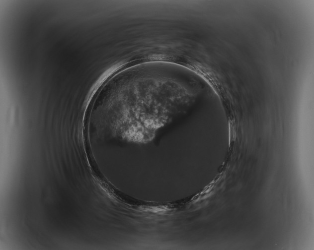 X0000085840147200703231450