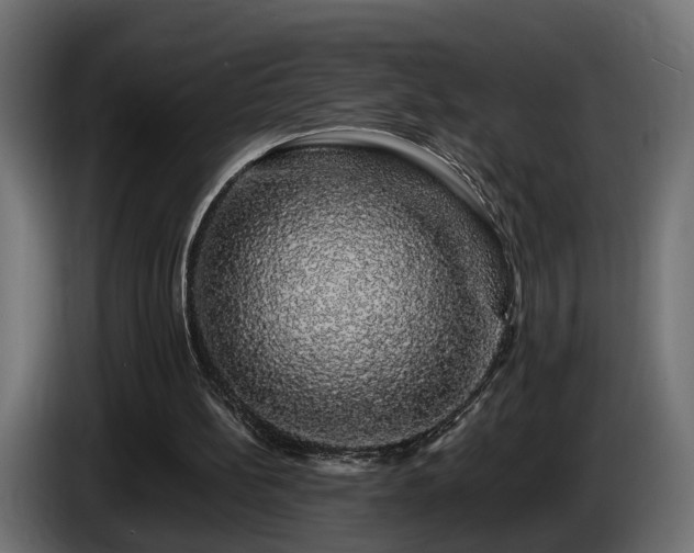X0000085840148200703231450