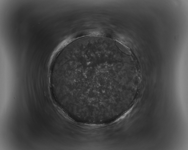 X0000085840149200703231450