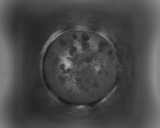 X0000085840151200703231450