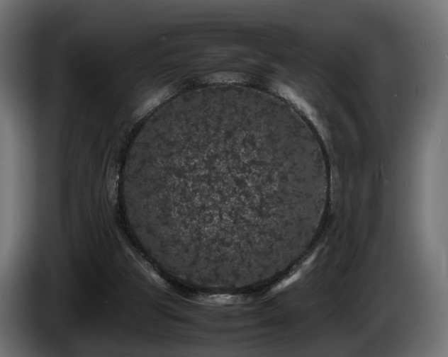 X0000085840153200703231450